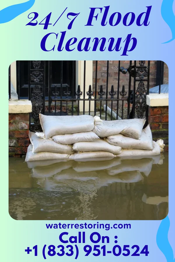 24/7 Flood Cleanup in Morehouse, MO