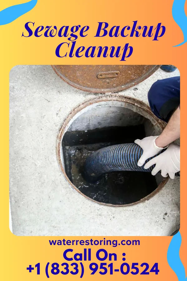 Sewage Backup Cleanup in Morehouse, MO