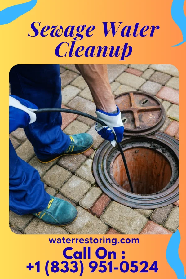 Sewage Water Cleanup in Morehouse, MO